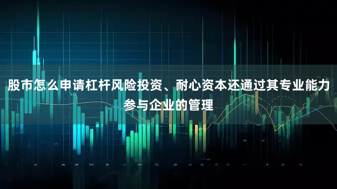 股市怎么申请杠杆风险投资、耐心资本还通过其专业能力参与企业的管理