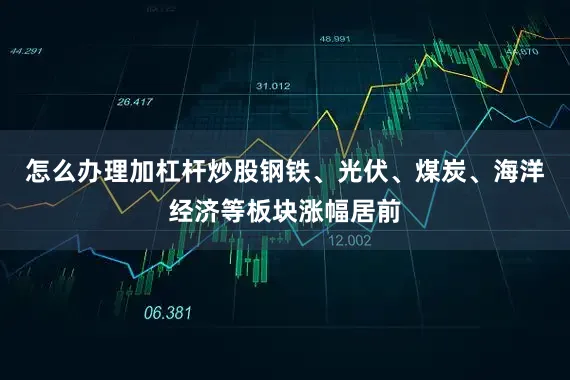 怎么办理加杠杆炒股钢铁、光伏、煤炭、海洋经济等板块涨幅居前