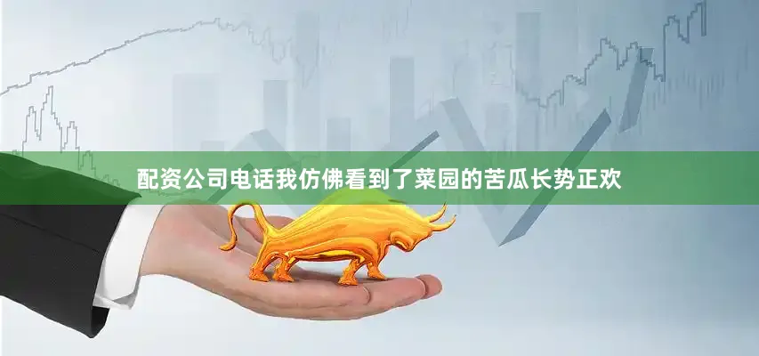 配资公司电话我仿佛看到了菜园的苦瓜长势正欢