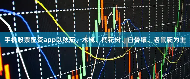 手机股票配资app以秋茄、木榄、桐花树、白骨壤、老鼠簕为主