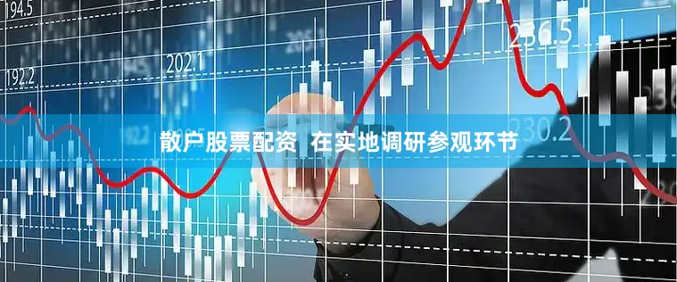 散户股票配资 在实地调研参观环节