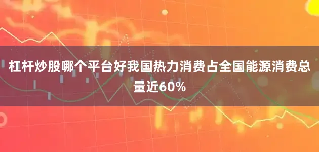 杠杆炒股哪个平台好我国热力消费占全国能源消费总量近60%