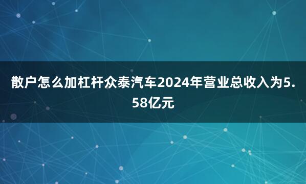 散户怎么加杠杆众泰汽车2024年营业总收入为5.58亿元