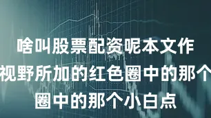 啥叫股票配资呢本文作者国平视野所加的红色圈中的那个小白点